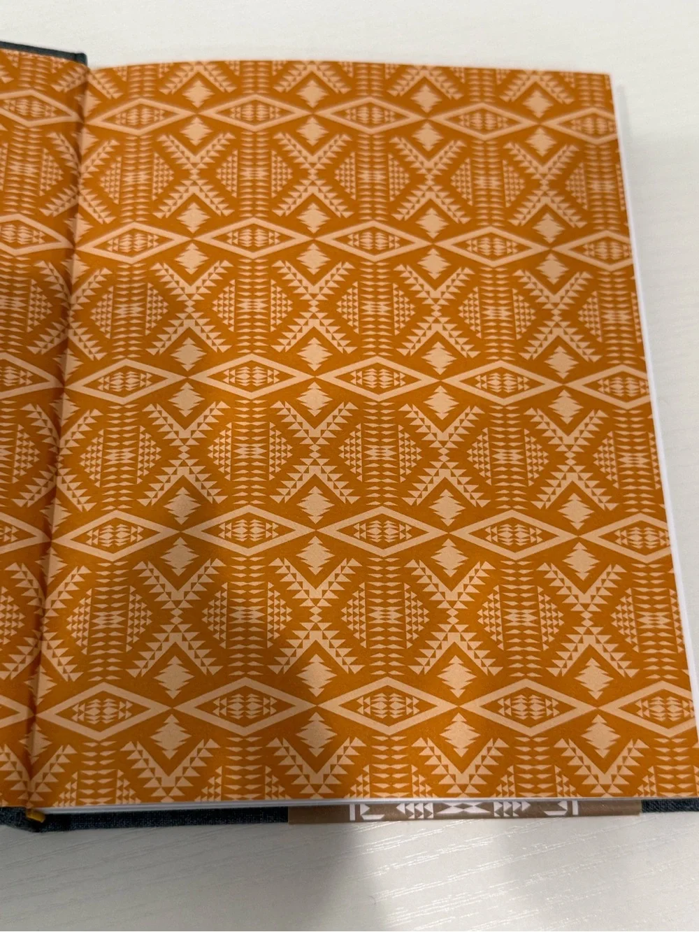 Pendleton Camping Field Guide — Navy, Gold & Cream Patterned Edge